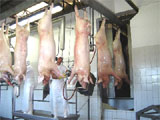 Frigoríficos em Muriaé